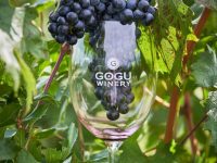 Дегустация молдавских вин от Gogu Winery пройдет в ресторане LeVin