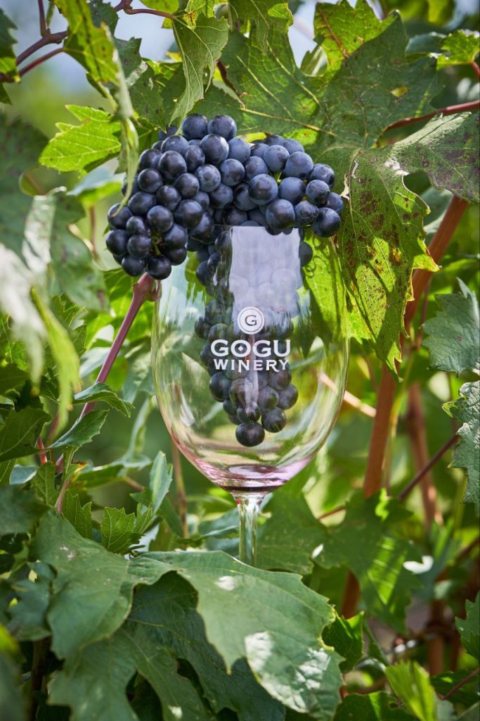 Дегустация молдавских вин от Gogu Winery пройдет в ресторане LeVin